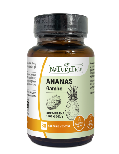 ANANAS GAMBO